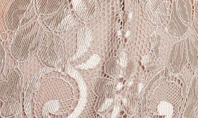 Wishlist Lace Bodysuit In Cocoa