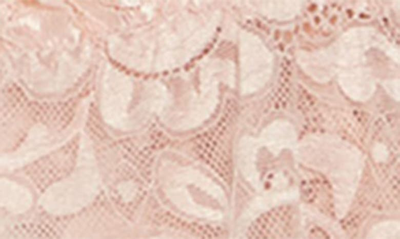 Wishlist Lace Bodysuit In Blush