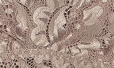 Wishlist Lace Bodysuit In Cocoa