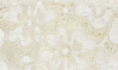 Wishlist Lace Bodysuit In Ivory