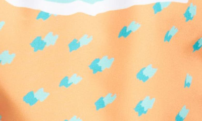 Boardies Print Swim Trunks In Multi