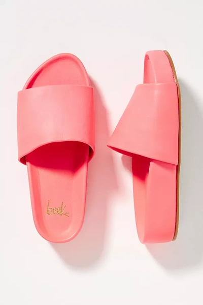 Shop Beek Pelican Slide Sandals In Pink