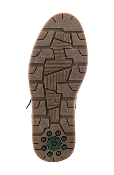 Spring Step Raymond Sneaker In Cognac
