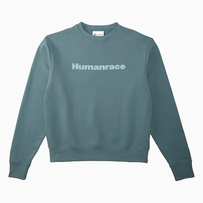 Shop Adidas Originals Emerald Green Pharrell Williams Humanrace Crewneck Sweatshirt