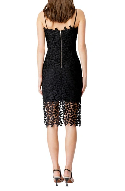 Shop Bardot Liana Sleeveless Lace Dress In Black