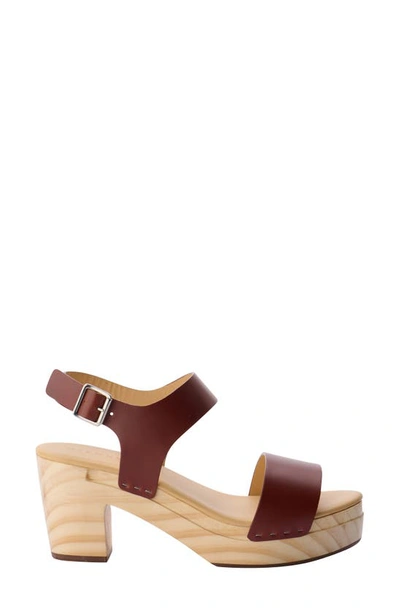 Shop Nisolo All Day Sandal In Brandy