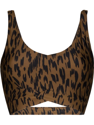 Shop The Upside Tropical Bowie Sports Bra In Brown