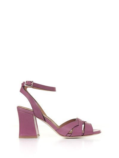 Shop Duccio Del Duca Leather Sandal With Ankle Strap In Malvia