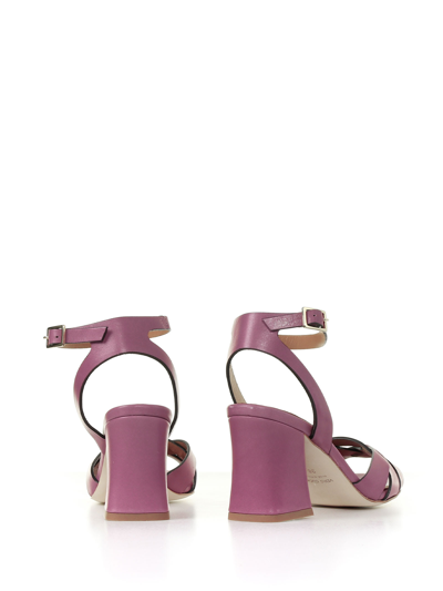 Shop Duccio Del Duca Leather Sandal With Ankle Strap In Malvia