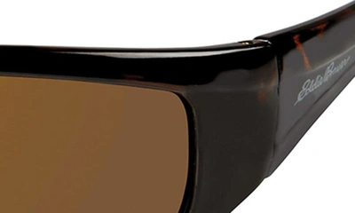 Shop Eddie Bauer Polarized 61mm Sunglasses In Tt