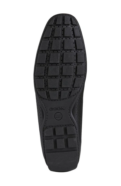 Shop Geox Moner Perforated Driver In Black