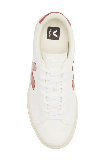 Shop Veja Gender Inclusive Campo Sneaker In Extra White Rouille