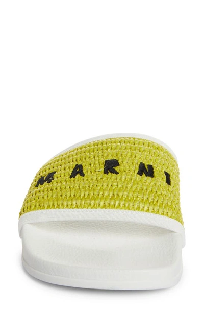 Shop Marni Logo Pool Slide In Lime/ Lily White