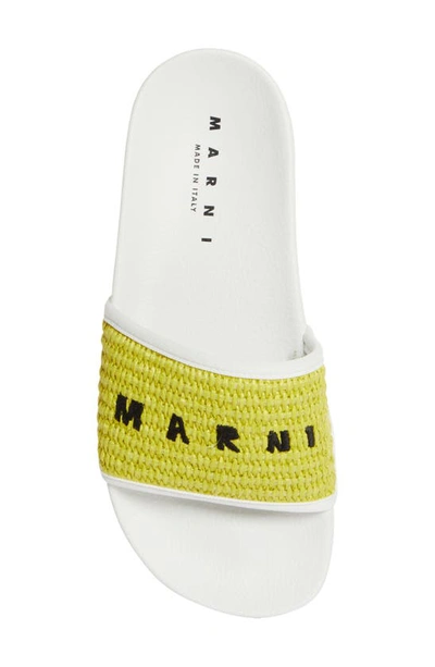 Shop Marni Logo Pool Slide In Lime/ Lily White