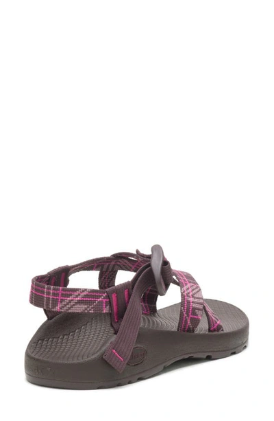 Shop Chaco Z/1 Classic Sport Sandal In Court