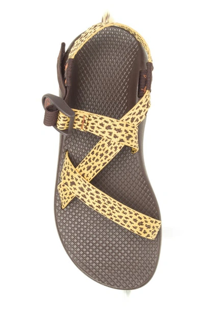 Shop Chaco Z/1 Classic Sport Sandal In Dappled Ochre