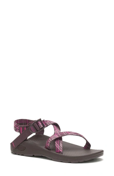 Shop Chaco Z/1 Classic Sport Sandal In Court