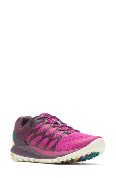 Shop Merrell Antora 2 Trail Running Shoe In Fuchsia