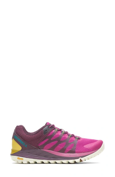 Shop Merrell Antora 2 Trail Running Shoe In Fuchsia