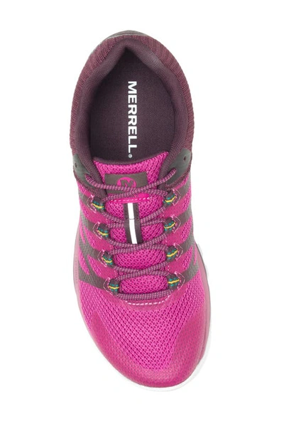 Shop Merrell Antora 2 Trail Running Shoe In Fuchsia