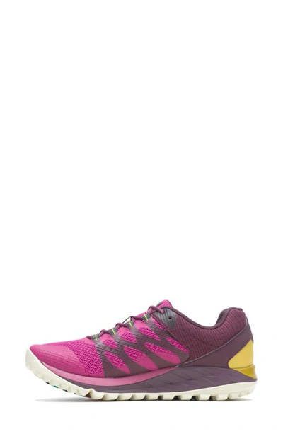 Shop Merrell Antora 2 Trail Running Shoe In Fuchsia