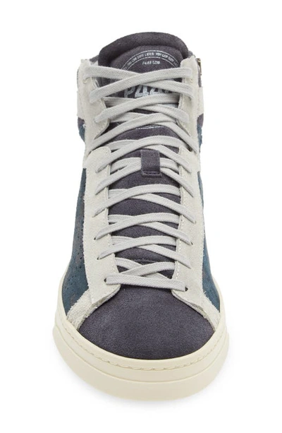Shop P448 Taylor High Top Sneaker In Dragoes