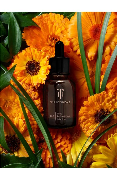 True Botanicals Renew Pure Radiance Facial Oil