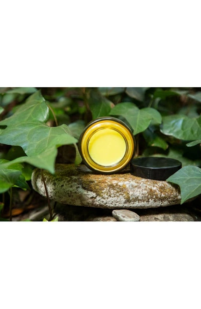 True Botanicals Calm Ginger Turmeric Cleansing Balm