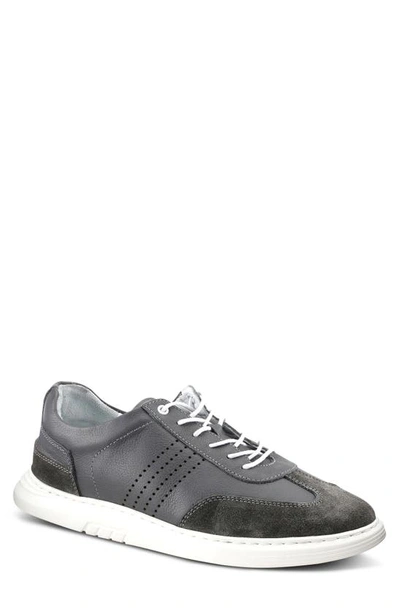 Shop Spring Step Treton Sneaker In Grey