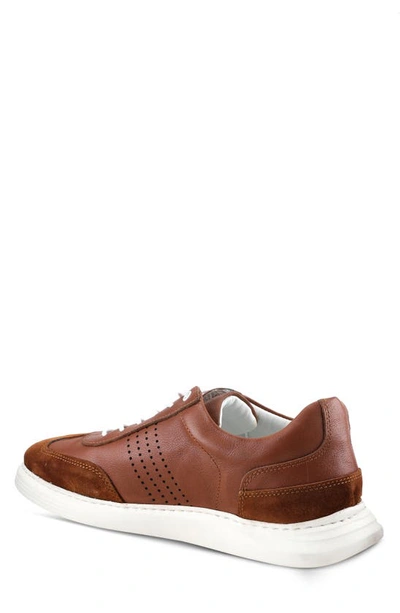 Spring Step Trenton Sneaker In Brown