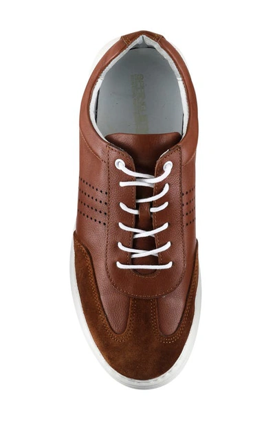 Spring Step Trenton Sneaker In Brown