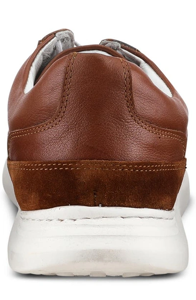 Spring Step Trenton Sneaker In Brown