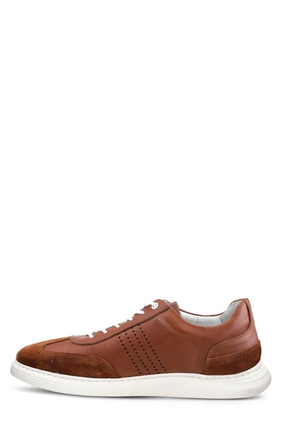 Spring Step Trenton Sneaker In Brown
