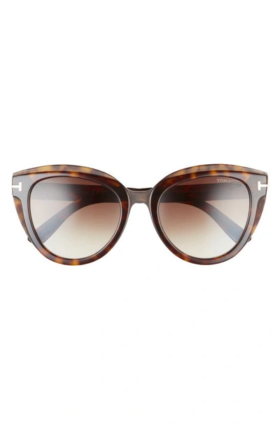 Tom Ford Tori 53mm Cat Eye Sunglasses In Brown | ModeSens