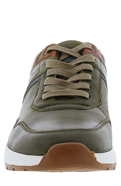 Shop English Laundry Ezra Lace-up Sneaker In Army