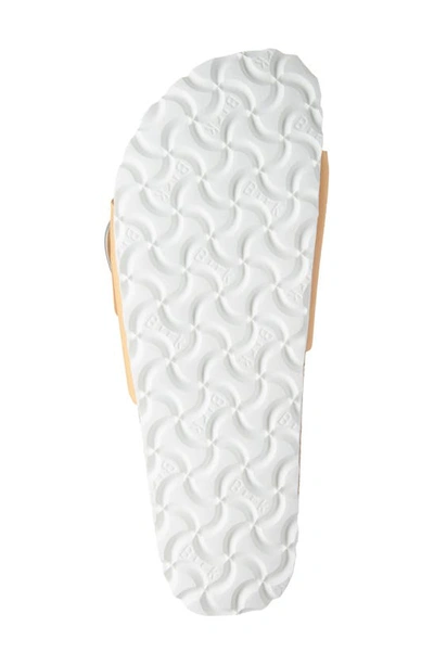 Birkenstock Madrid Big Buckle Slide Sandal In Popcorn