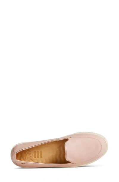 Shop Sperry Gold Cup Sneaker In Rose