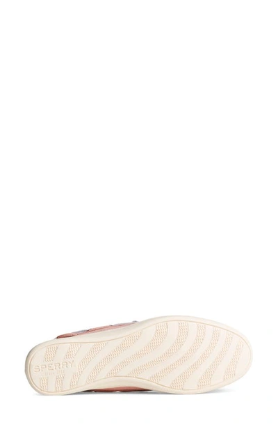 Shop Sperry Songfish Boat Shoe In Rose