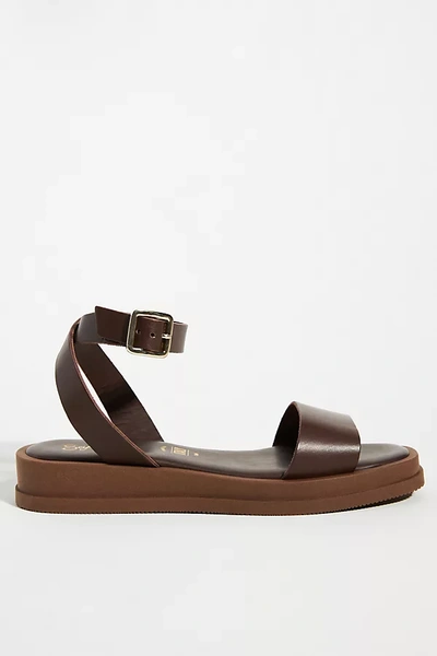 Shop Seychelles Note To Self Sandals In Brown