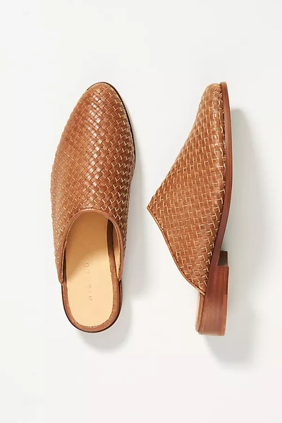 Shop Nisolo Ama Woven Mules In Yellow