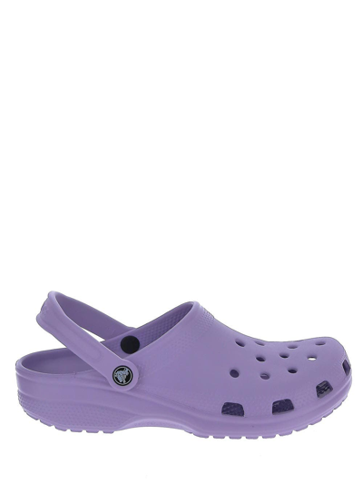 Shop Crocs Classic Clog In Purple