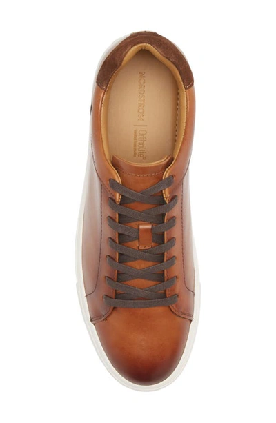 Shop Nordstrom Jace Sneaker In Brown Saddle