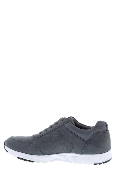 Shop English Laundry Noel Sneaker In Grey