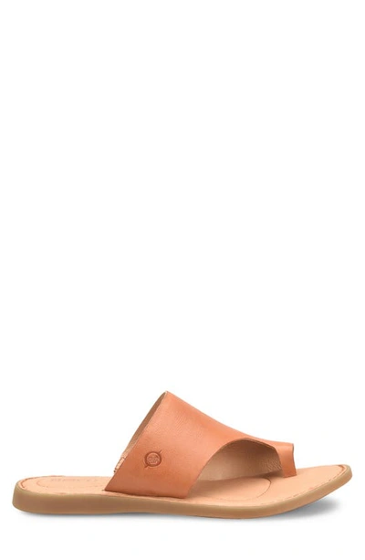 Shop Brn Inti Slide Sandal In Tan Leather