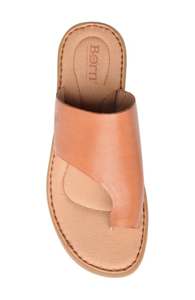 Shop Brn Inti Slide Sandal In Tan Leather