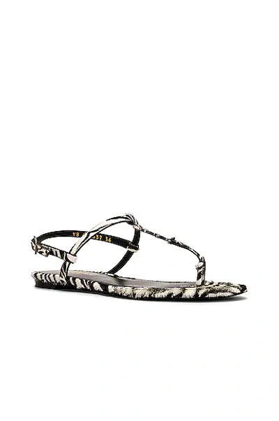 Saint Laurent Cassandra Cowhide Sandals In Bianco Nero