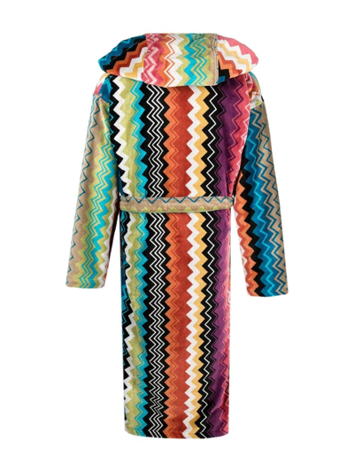 Shop Missoni Giacomo Belted Hooded Bathrobe In Blue