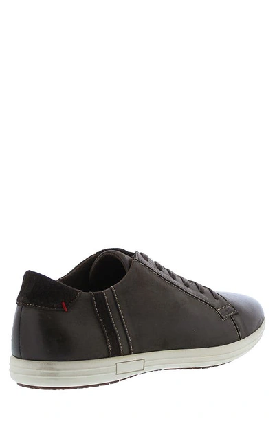 Shop English Laundry Thomas Suede Sneaker In Brown