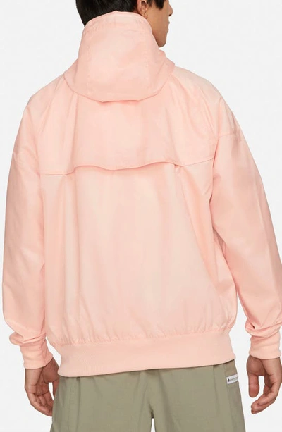 Shop Nike Sportswear Windrunner Jacket In Arctic Orange/ White