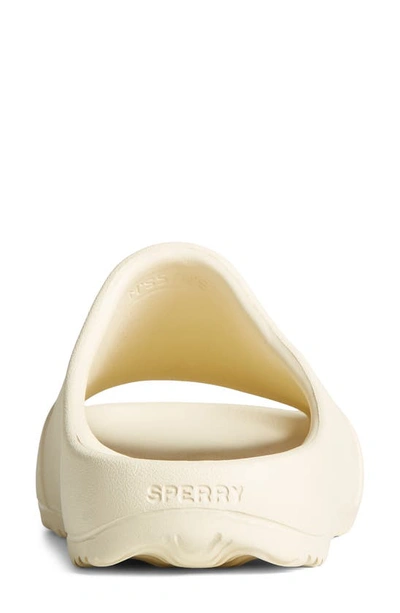 Shop Sperry Float Slide In Cream